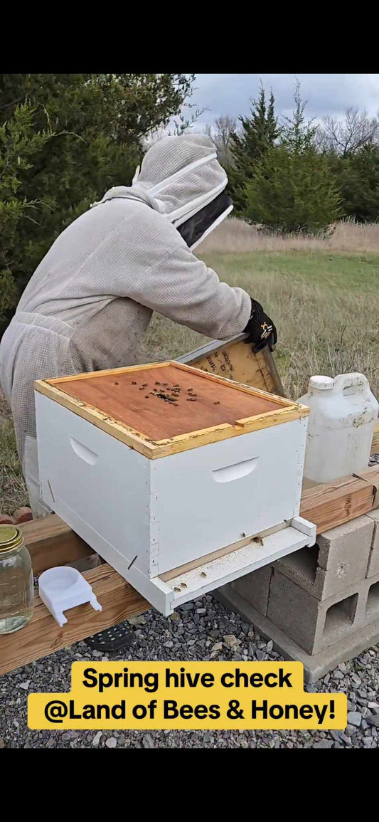 Spring Buzz: Our First TikTok + Honey Goodies Are Here!